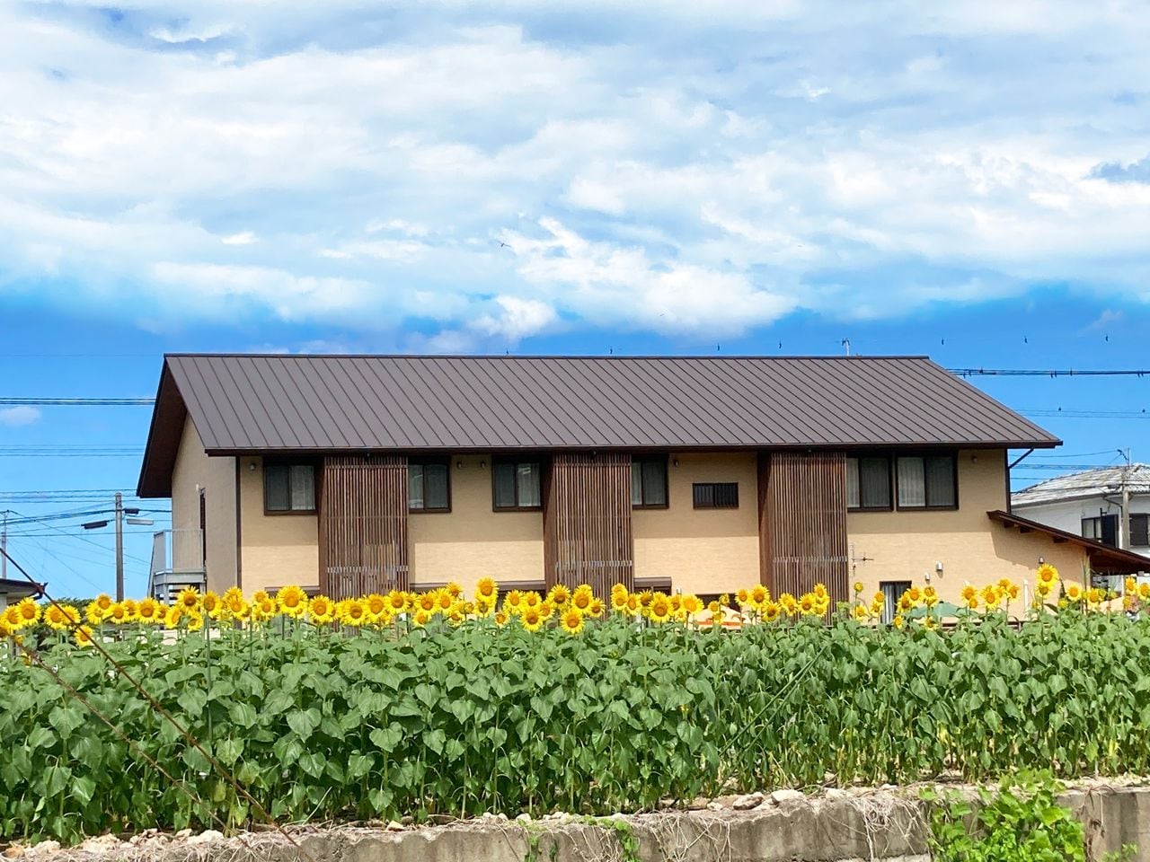 Oyado Midokoi イメージ