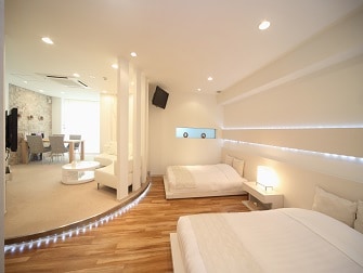 Snowy　Owl(High Class Room)