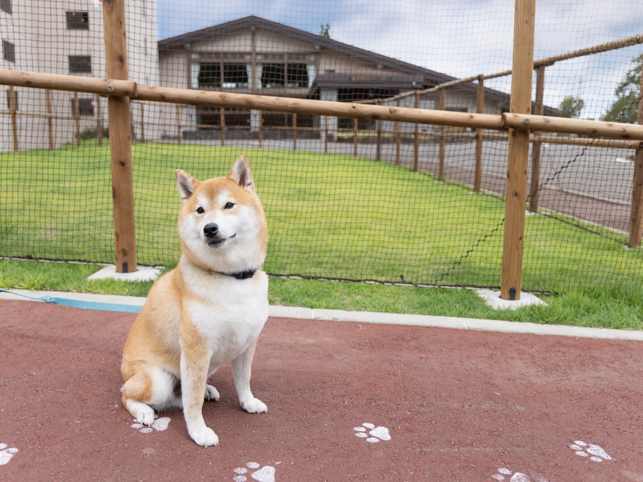 APA Hotel ＆ Resort Joetsu Myoko イメージ