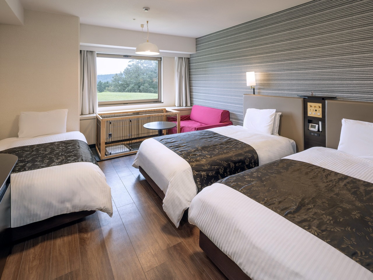 Stay With Dog Room Triple