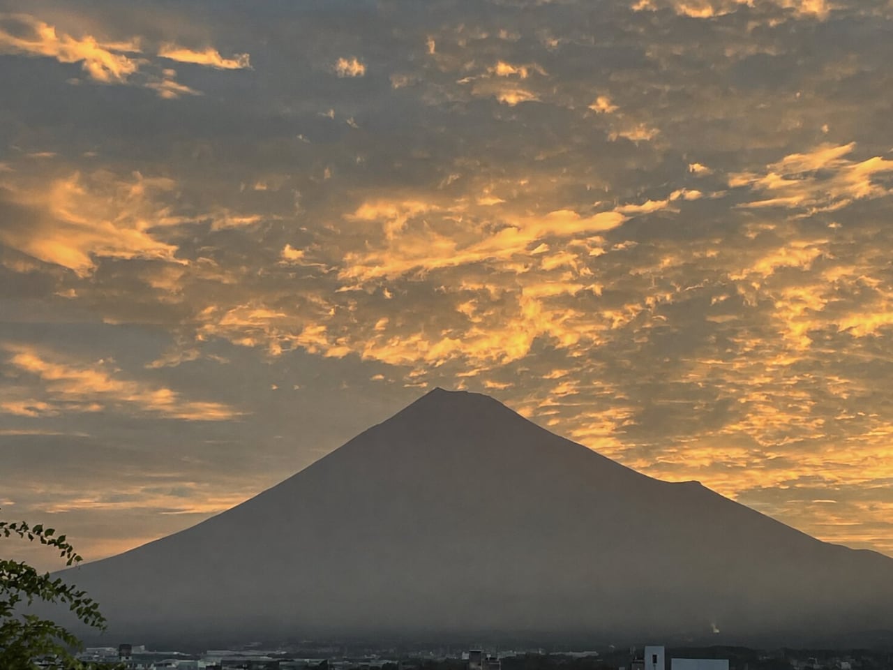 Mr.Fuji